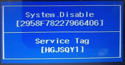 dell service tag : Enter System password